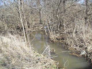 Property photo 4 - OHIO LAND AUCTION, 136+/- Acres offered in 4 Tracts from 7 to 72 Acres